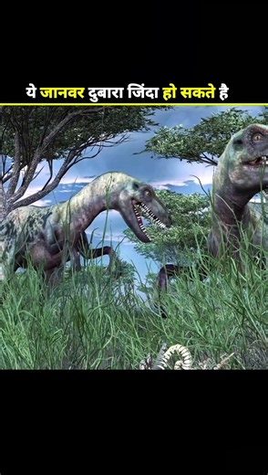 Animals who reborn again