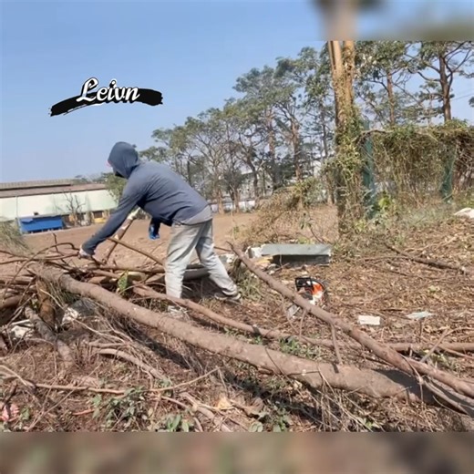 Miraculous and Daunting Clearing fallen trees and Cre:Clean up Mowing sawing trees . . . . . #deepcleaning #oddlysatisfying #beforeandafter #makeover #transformation #sariafyingcleaning #sparklingclean #tidyup #deepclean #homecleaning #putzen #nettoyer #cleaning #rivercleanup #cleanupthedirtykitchen #cleantok #superclean #kitchencleaner #limpiezahogar #cleaningforfee #housecleaning #kitchencleaning #bedroomcleaning #livingroomcleaning #cleanupthetrash #cleanupthedirtyroom | Bu