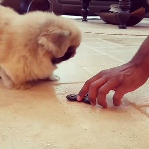 75K views · 1.5K reactions | He's obsessed with fidget spinners too  | boohoo.com | Facebook