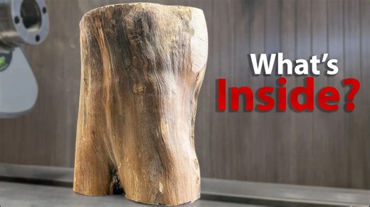 What's hiding inside this pear log?