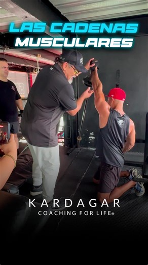 ¡ENTRENAR POR CADENAS MUSCULARES ES LA CLAVE! ⛓️💪 ¿Quieres llegar a viejo siendo un verdadero crack y con un cuerpo totalmente funcional? El secreto no es solo aislar el músculo para la hipertrofia... ¡es entrenar a tu cuerpo como realmente funciona: a través de cadenas musculares ! Aprende a moverte mejor, a estabilizar ya sacar el máximo provecho en cada repetición. ¿Te atreves a meterle este ejercicio a tu rutina? ¡Pruébalo y nos cuentas cuantas aguantas! 👇