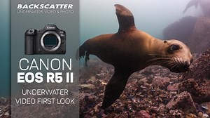 2.5K views · 29 reactions | We are back diving with the Canon EOS R5 II, but this time shooting video. Check out our first impressions and read the article below. https://bit.ly/canonr5ii-review | Backscatter Underwater Video & Photo | Facebook