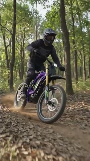 Introducing the Surrron Light Bee X 2025