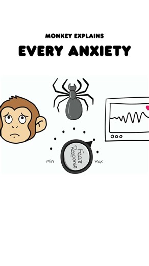 Specific Phobias: Monkey Extreme Fears of Spiders & Heights