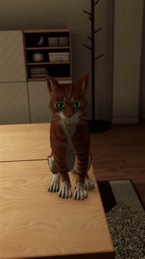 Testing the physics in my VR Cat Simulator ☕️🐈