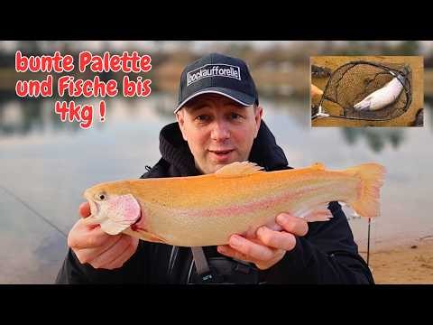 Forellenangeln im Frühjahr Lachsforellen Angeln Gummiköder Powerbait Forellensee Angelpark Thönse