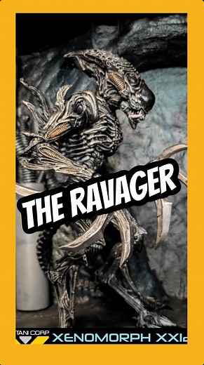 181K views · 7.7K reactions | The Ravager Xenomorph #xenomorph #xenomorphqueen #alienvspredator #aliensvspredator #ravager #alien #aliens #alienearth #horror #predatorbadlands #yautja #alienromulus #aliencovenant | Jeremiah Martin | Facebook