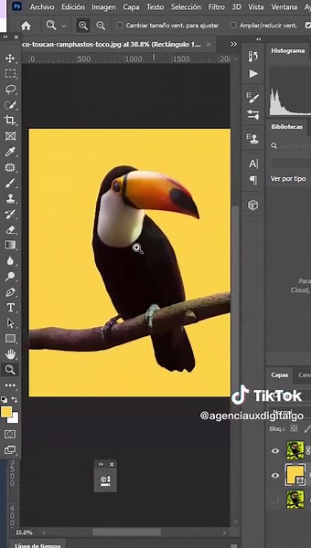 Tutorial: Cómo Convertir Imágenes JPG a PNG en Photoshop