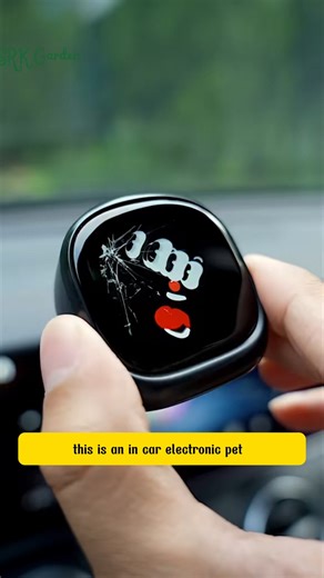 Interactive Car Companion with DIY Customization | Phoenix Nursery