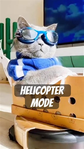 POV: your cat turned into a helicopter 🚁