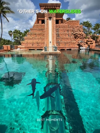 Other's On Waterslides vs This Guy