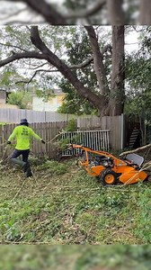 780K views · 22K reactions | The Yard Clean Up SO BAD, I almost had to walk away from it  #freemowfridays I made a post about this yard a few weeks ago and here is the update! | Tim The Lawnmower Man | Facebook