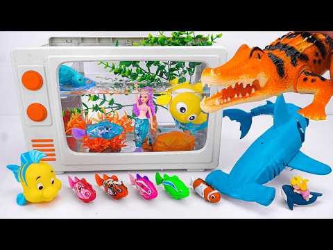 [toys asmr] Zuru Robo Alive Aquarium With Crocodile, Shark, Turtle & Fish ASMR 🐠 Review Toys