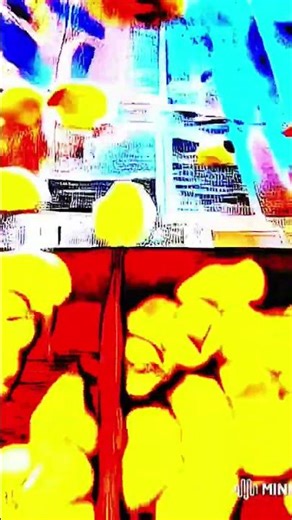 🐥 Large number of chicks evenly spread