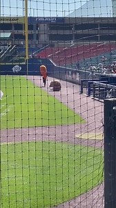 Mascot race at Buffalo Bisons game