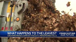 Leaves collected in Milwaukee turned into rich compost