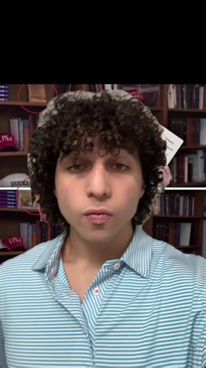 Apollo (@ursusofpalestine)’s videos with original sound - Apollo