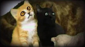 The secret-Complete Hollyleaf realistic style mini horror MAP