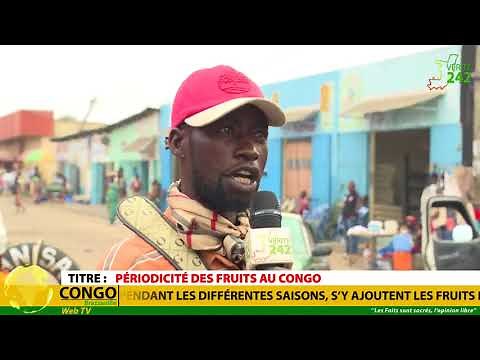 PÉRIODICITÉ DES FRUITS AU CONGO