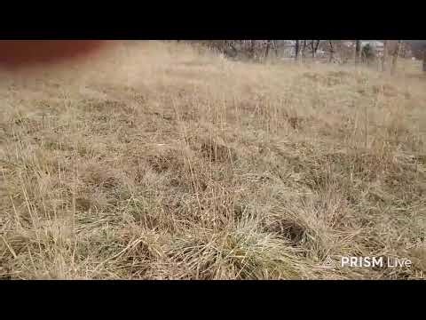 Ottumwa Iowa Siren Test