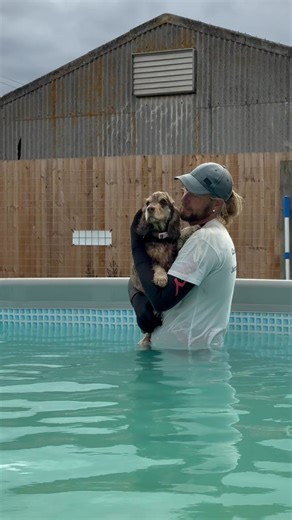 15K views · 737 reactions | Cocker spaniel Autumn building up her swimming confidence with Terrys help  | Canine Dip and Dive Maldon | Facebook