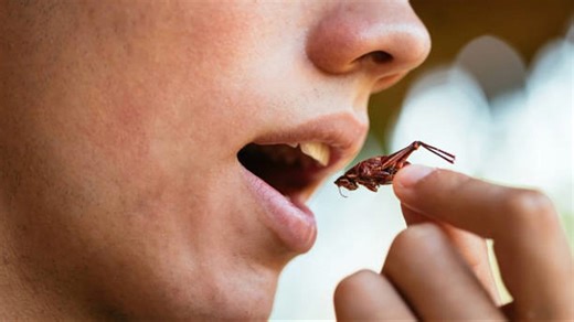 Could Grasshoppers Be The Next Health-Improving Superfood?