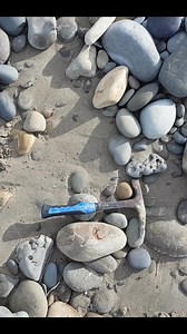 Awesome fossil find - a very diagnostic bone #Fossil #bonehealth #whales #newzealand | Mamlambo