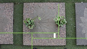 3.4K views · 12 reactions | Whether you’re an experienced gardener...