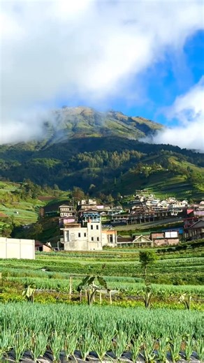 Jasa dokumentasi wisata on Instagram: "Keindahan wistaa nepal van java dari bawah desa #nepalvanjava #dusunbutuh #sukomakmur #wisata #wisatamagelang"