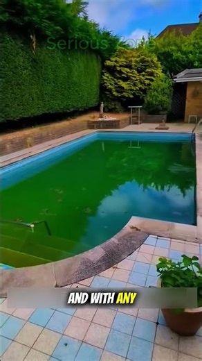 Don't Drain Your Green Pool! Do THIS Instead..
