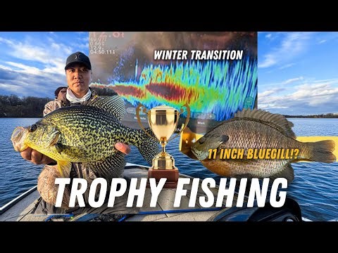 CATCHING TROPHY BLUEGILLS and BIG CRAPPIES in northern Minnesota! (Multiple 10+ in Gills)