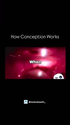 Medical & Health ⚕️ on Instagram: "How Conception Works Conception is the moment a new human life begins, when a sperm cell from a man successfully fertilizes an egg cell from a woman. This usually happens inside the fallopian tube. During ovulation, one mature egg is released from the ovary and travels into the tube. If sperm are present from recent sexual intercourse, millions swim toward the egg, but only one sperm penetrates its outer layer. Once this happens, the egg immediately blocks all