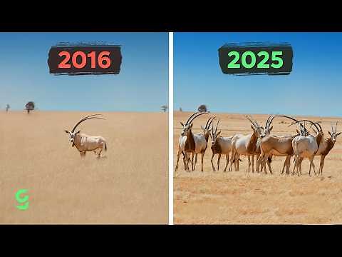 These 10 Species Were Saved From Extinction