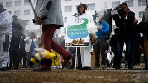 Bayer shares dip on Roundup cancer verdict