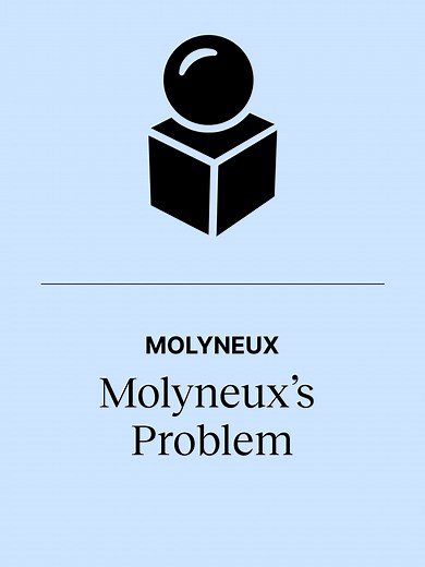 Exploring the Molyneux Problem in Philosophy