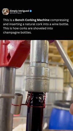 How bottled beverages are corked 🍾