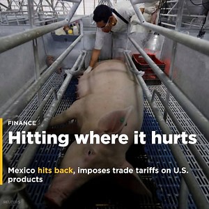 19K views · 124 reactions | Aiming at Trump strongholds, Mexico hits back with trade tariffs | Yahoo Finance | Facebook