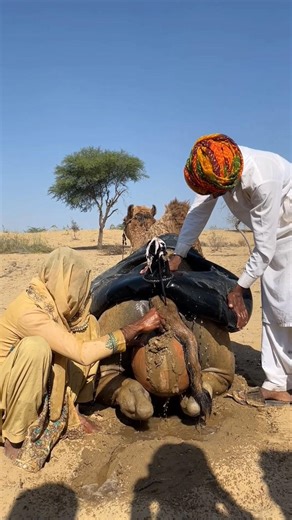 نكتة أنتوني الكامنة وراء أنتوني الشرير