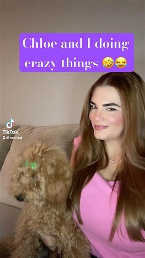 My Toy Poodle Chloe and I doing crazy things 🤣😂 #funnydog #funny #pets #cute