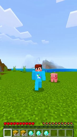 Convirtiéndome en Lobo para Ayudar a Mi Amigo en Minecraft