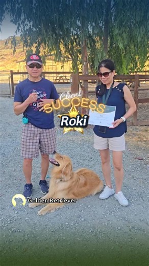 When Roki first started training, he was full of love and energy… maybe a little too much! 💕 He’d jump up, get mouthy, pull like crazy on walks, and forget all about listening when the world got exciting 🌎🐕💨. His family wanted to be able to confidently walk Roki, and a recall they could trust — whether at the beach or the park. 🏖️🐾 Fast forward to today: Roki has officially graduated! 🎓 He’s learned how to channel that big personality into being respectful, focused, and fun to take anywhe
