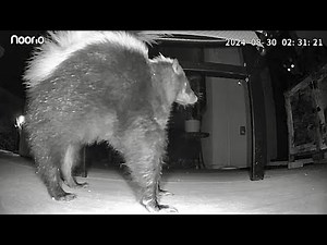 Slo-Mo Skunk Spraying at Cat