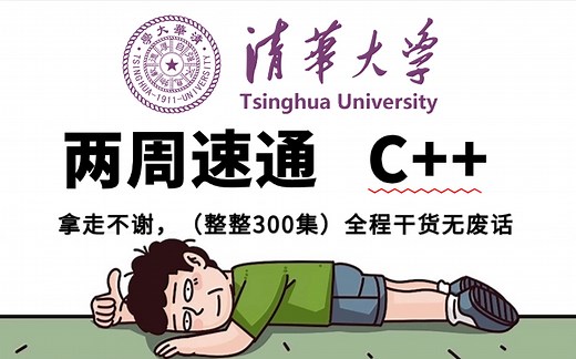 【敢称全站最细】整整300集，2024最新C++入门教程，别再走弯路了，带你一步步从小白到入门大佬！