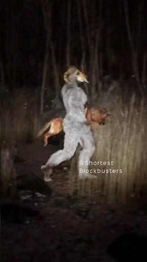 The Goat Monsters took the dogs for a walk