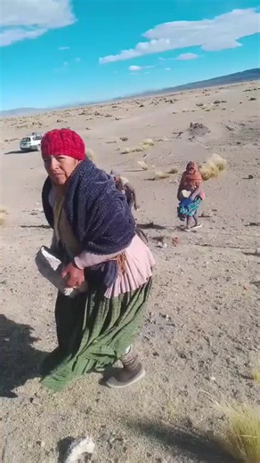 BLOQUEADORES AGREDEN A TRANSPORTISTAS; LES LANZAN PIEDRAS Oruro, 22 de mayo de 2026.- Transportistas varados en los bloqueos reportaron agresiones por parte de los bloqueadores que arrojan piedras contra los vehículos e inclusive contra los choferes. Denuncian que hubo destrozos en la localidad de Cosapa ubicada en el municipio de Turco, provincia Sajama del departamento de Oruro. #violencia #bloqueadores #Cosapa #ElAvispero #innoticias