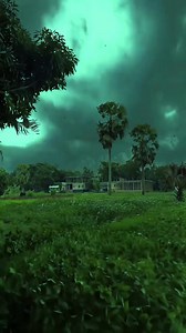 Peaceful weather 🌧️ | For You