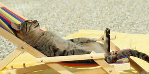 Які пляжі Києва найкращі: кияни назвали фаворитів