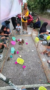 Duck fishing #fishing #duck #hobby #fyp #shorts