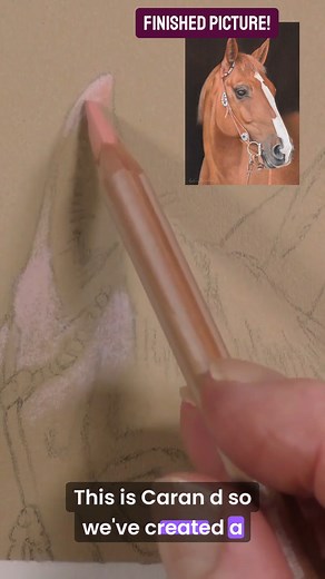 How we draw realistic ears #pastelpencils #realisticdrawing #realisticart | Colin Bradley School of Art