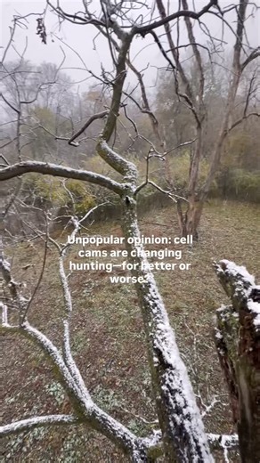 Ryan DeLeeuw on Instagram: "I used to be all for trail cams, but I’m making the switch. Nothing against anyone who runs them — for me, they pulled me away from the hunt. I started chasing photos instead of sign, history, and instinct. By the time a buck showed in daylight, I was already a step behind. Back to hunting, not checking a screen. #mobilehunting #whitetailhunter #whitetail #midwestwhitetail #bowhunter"